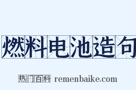 燃料电池造句是什么意思的图片